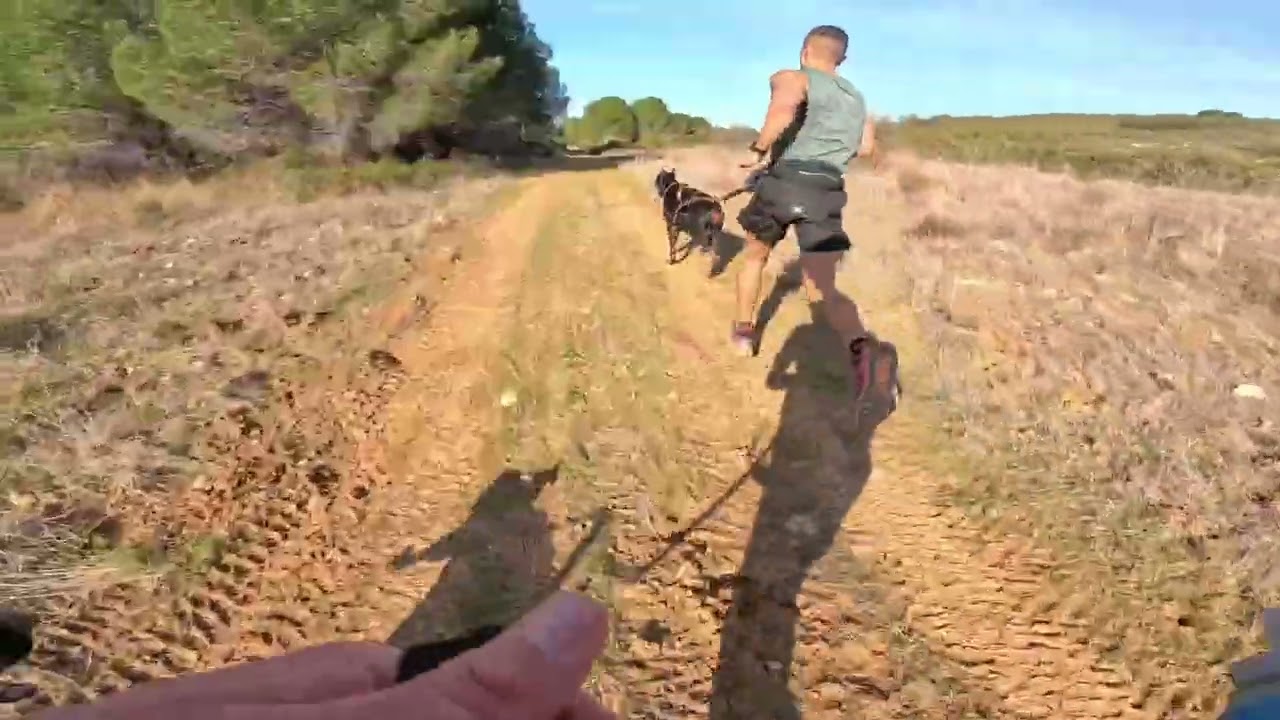 CaniTrial 1er scratch Hugo et Thor