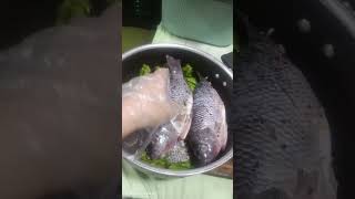 Ginataang Tilapia na may gulay