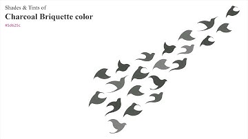 Shades & Tints of Charcoal Briquette color #5d625c A Cool Grey color #525751 #484c47 #6f736e