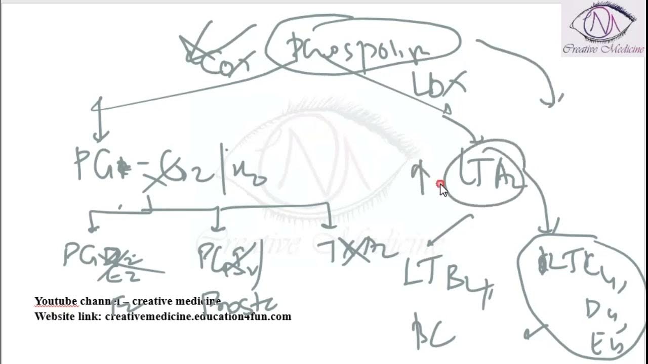 Lec 3 NSAIDS Aspirin Induced Asthma YouTube