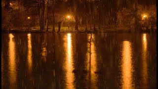Relaxing Sounds of Rain Near the Lake in the Quiet Park at Night - 10 Hours for Relaxation and Sleep