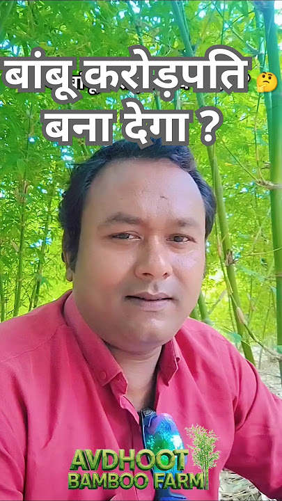 🌱 क्या बांबू करोड़पती बना देगा? 🤔| Dual Audio Hindi/English | #bamboo #bamboo1 #ytshorts #bamboofarm