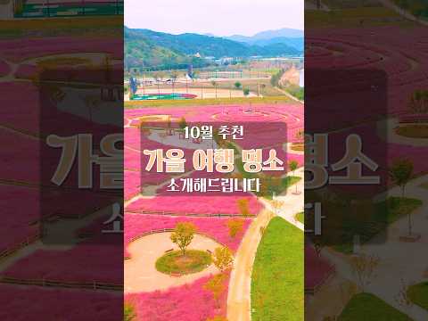 10월 국내 여행 추천 BEST #여행추천 #국내여행