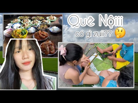 Video Vlog Nhà Nội Mình Có Gì Vui?? | Hái Trái Cây, Đám Giỗ... - youtube