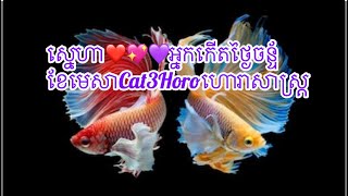 ស ន ហ អ នកក តថ ង ចន ទ ខ ម ស Cat3Horoហ រ ស ស រ ត