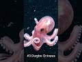 5 Deep Sea Creatures That Look Like Aliens
