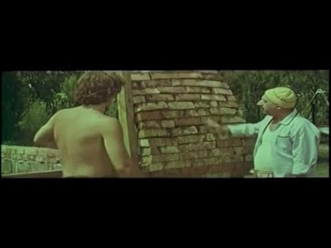 \"რაჭა, ჩემო სიყვარულო\" - ოქროს ხელებიანი მშენებელი (racha chemo sikvarulo)