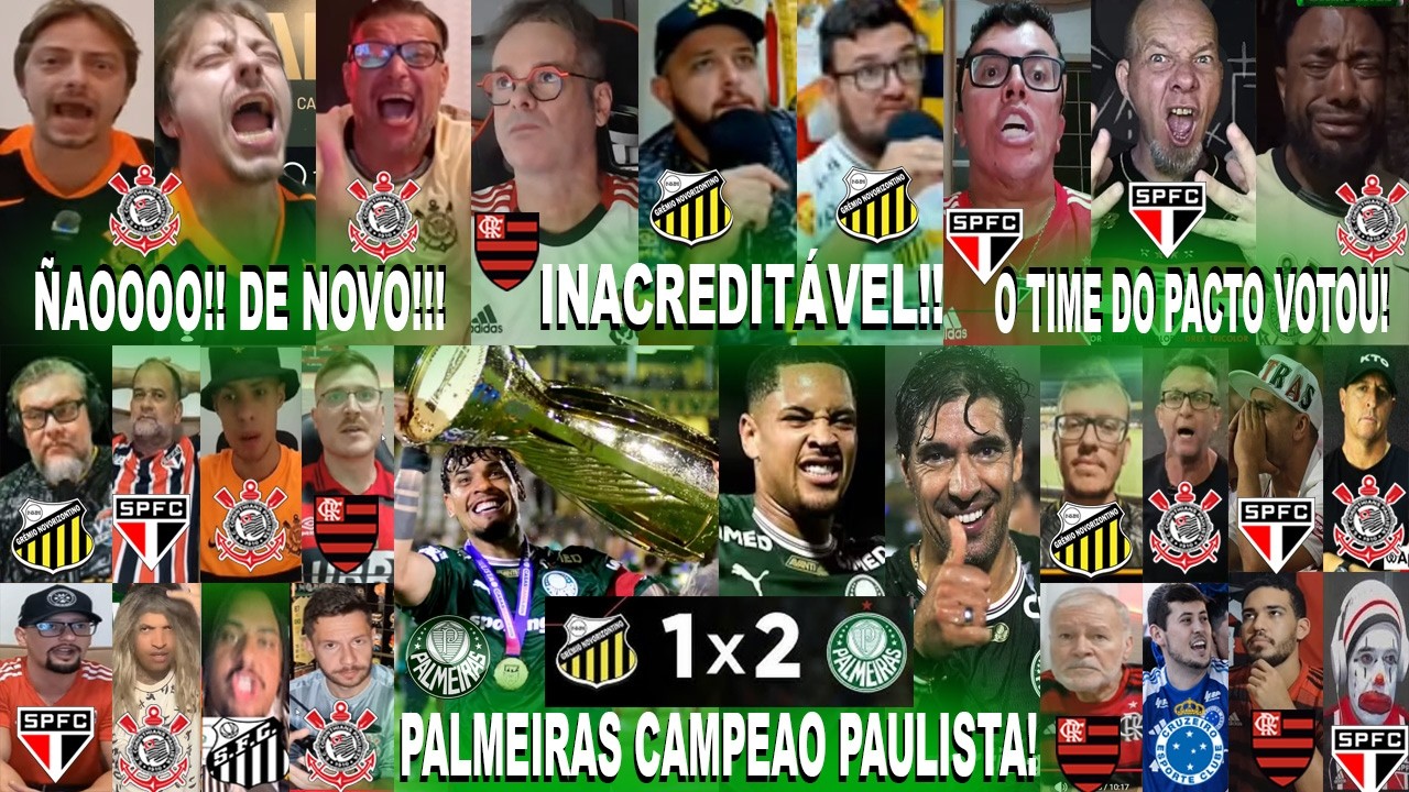 TORCIDAS DO BRASIL AO PALMEIRAS CAMPEÃO PAULISTA NO NOVORIZONTINO 1X2 PALMEIRAS - O VERDAO VOLTOU