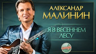 Я В Весеннем Лесу ✬ Душевная Песня ✬ Александр Малинин