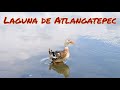 Video de Atlangatepec