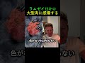 456オンスの肉塊!ラムゼイのリアクションが最高すぎる
