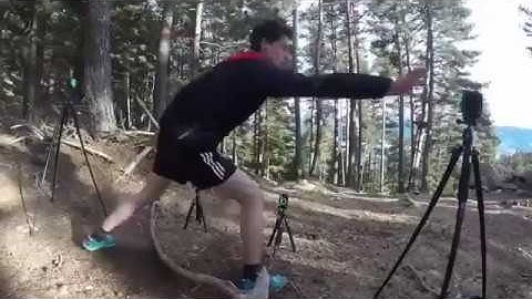 Witty SEM in de natuur