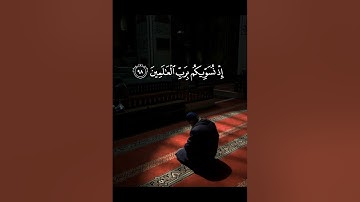 [وَلَا تُخْزِنِي يَوْمَ يُبْعَثُون] -سورة الشعراء- الشيخ/ أحمد النفيس