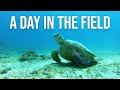 A day in the field | Real World Science