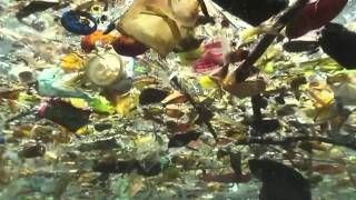 Plastics in Oceans: More Damaging Than Climate Change