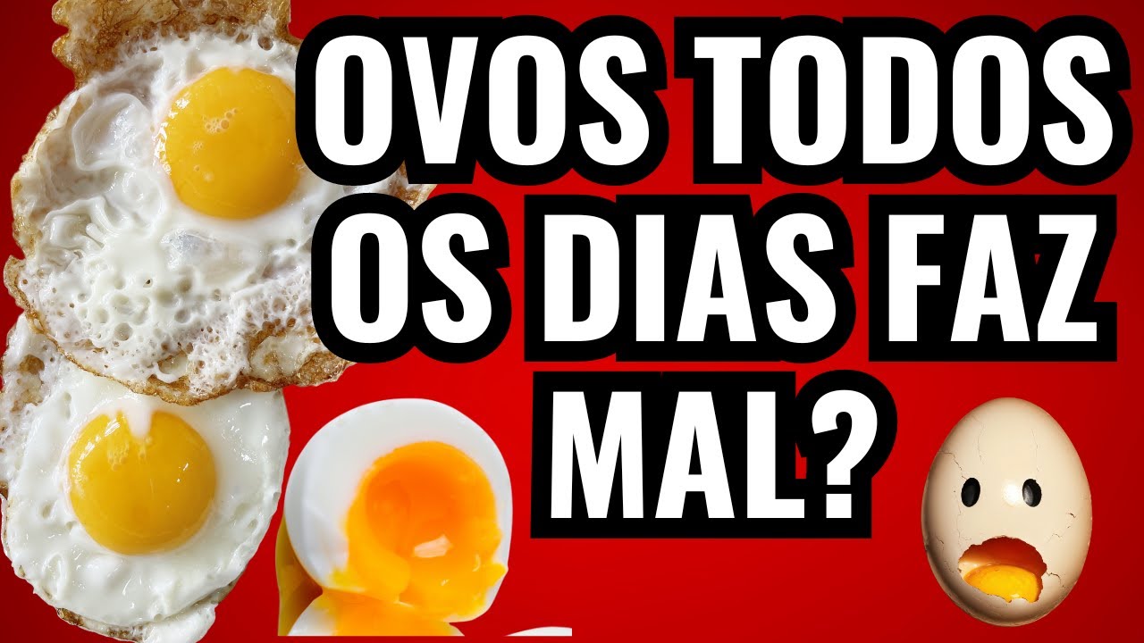 comer ovos todos os dias faz mal? veja o que acontece com seu corpo se ...