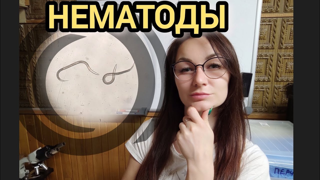 Нематоды. Естественные защитники растений от вредоносных насекомых. Симбиоз нематод и бактерий.