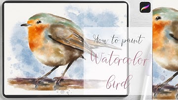 You can draw it - watercolor bird in Procreate - simple digital tutorial on Ipad step by step