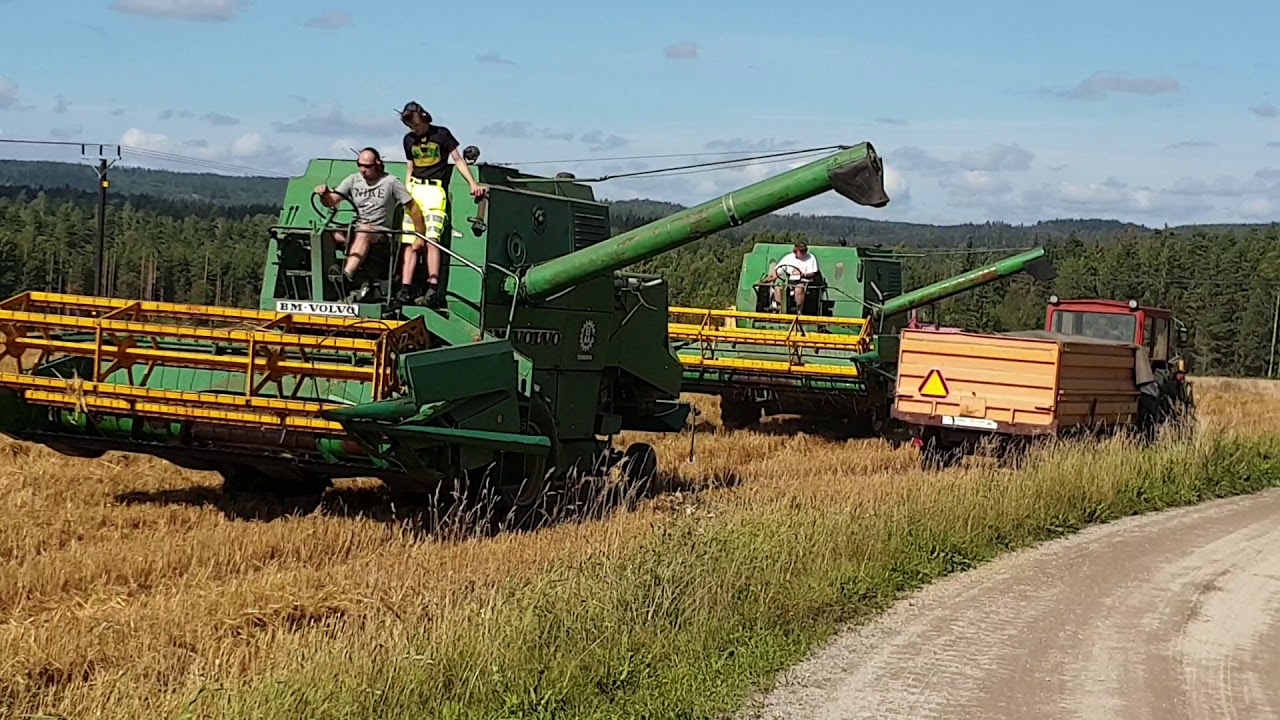 Tröskning havre med 2 st Volvo BM S900, Älgkärr 2019