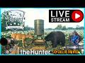 Grinding Whitetail On Mississippi Acres TheHunter: Call Of The Wild!!!