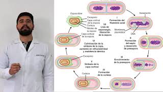 Tinciones diferenciales y selectivas para las bacterias | Laboratorio Clínico