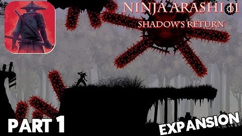 Ninja Arashi 2 Shadow