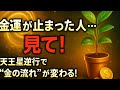 たった1鉢で人生激変!天王星牡牛座逆行×観葉植物で失った金運を取り戻す究極の風水術