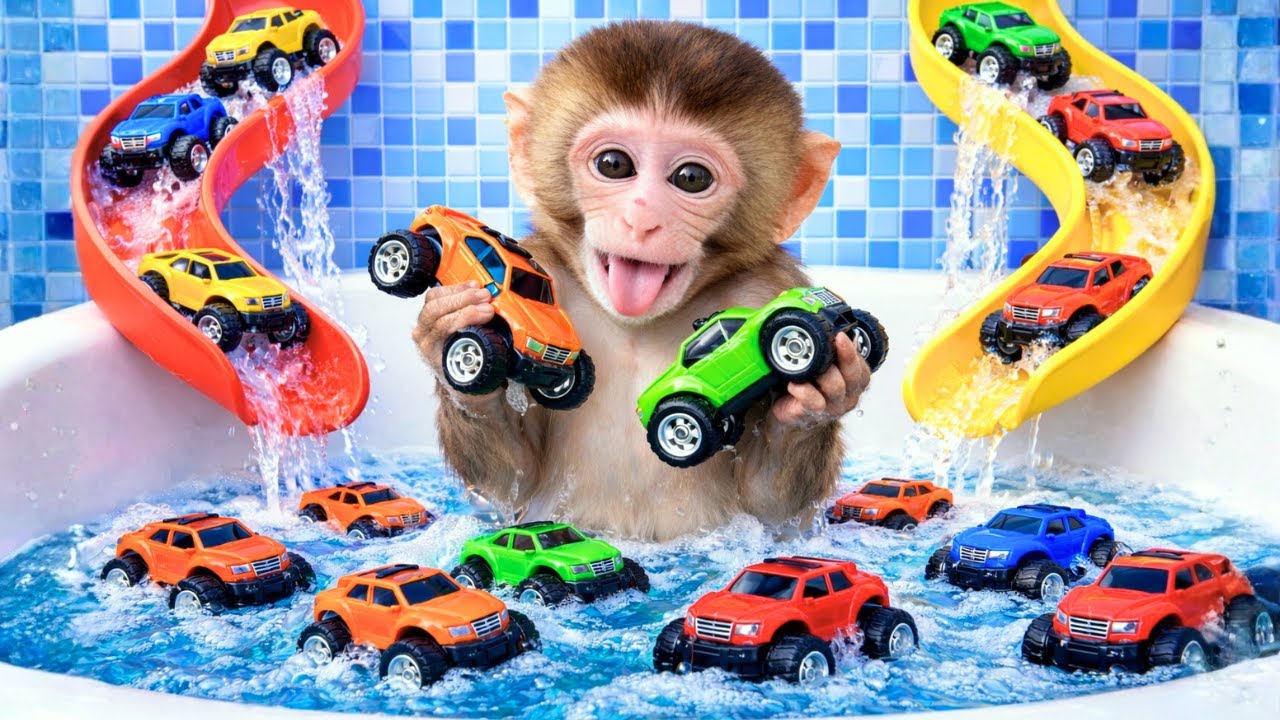 Monyet Milo Imut bermain truk monster di perosotan pelangi dan mandi busa