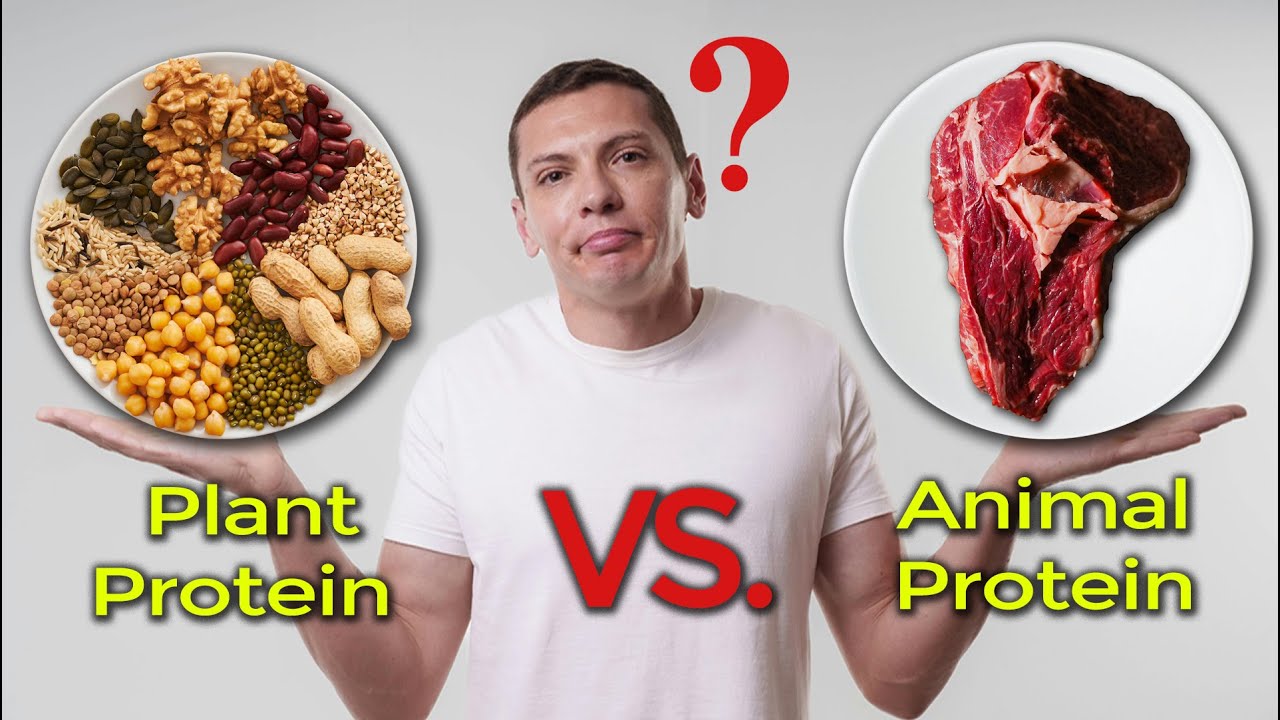 Растительный белок против животного белка: что полезнее? Научно обоснованные факты, которые вам Н...