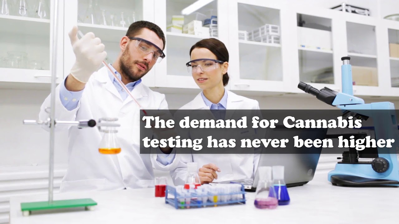 Michigan Cannabis Testing Lab Insurance (586) 7899943 Michigan Cannabis Testing Lab Insurance (586) 7899943