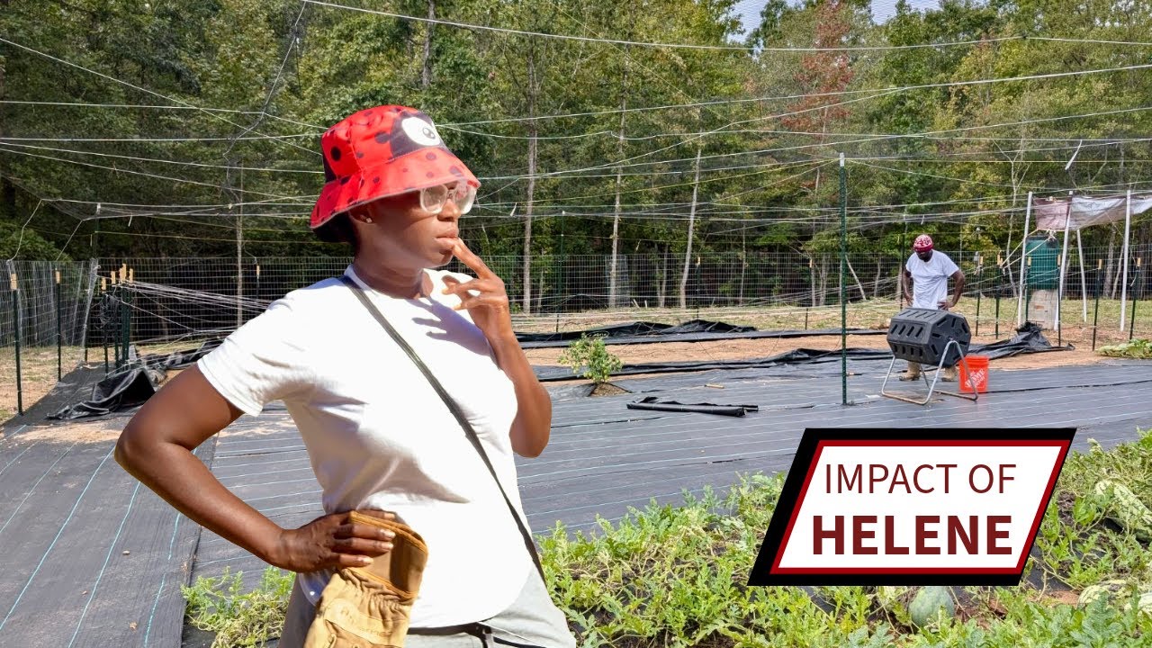 Район Джорджии пострадал от урагана «Хелен»