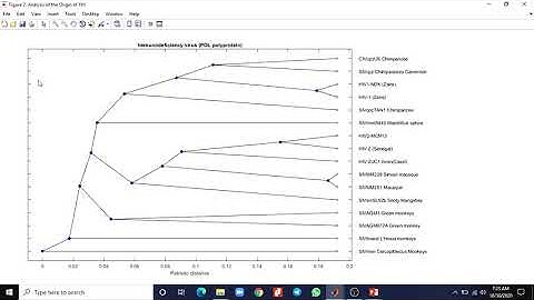 Matlab for Bio Engineers | Part 3 _ Multiple Sequence analysis & Phylogenetic Tree Reconstruction