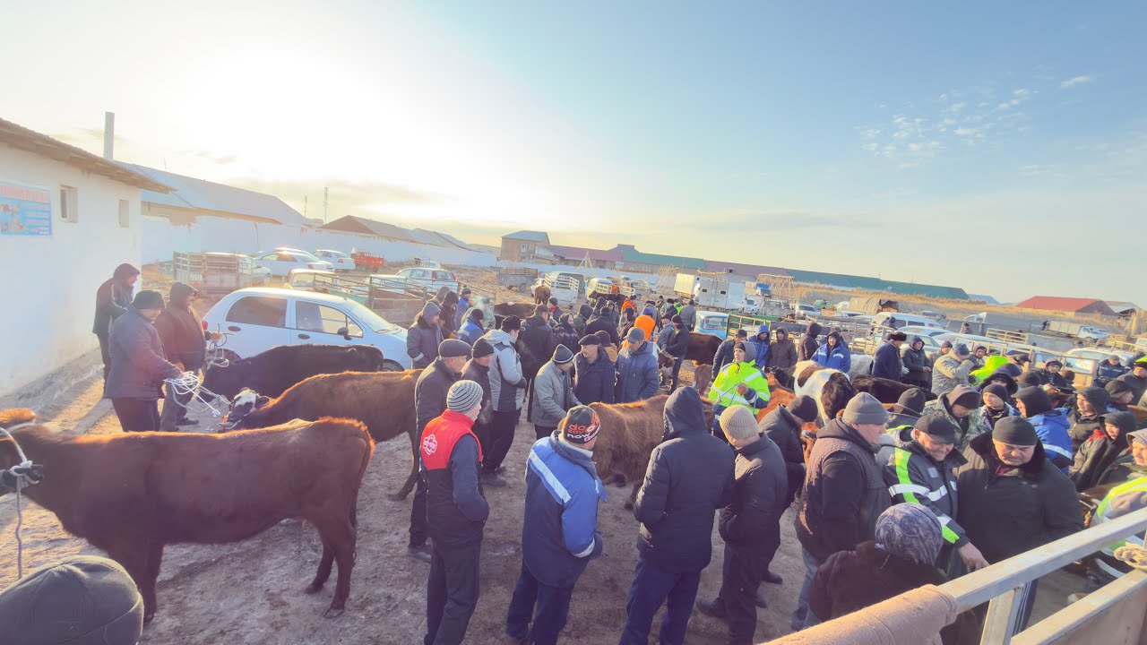 БЕРУНИЙ СИГИР БОЗОРИ 3 КИСМ 01.03.2026