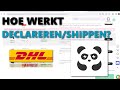 Hoe werkt declarerenshippen  pandabuy tutorial  2024