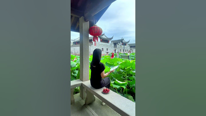 一塘風舉荷，便是夏天的味道了，寧波夏荷盛開，走馬塘荷花  #shorts - 天天要聞