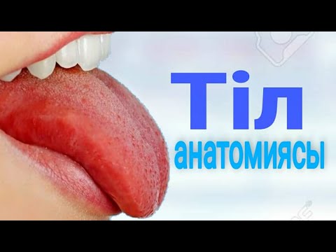 Бейне: Тіл және тілдің қызметі қандай?