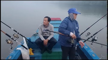 Câu cá theo cách này không lo đói | Sông Nước Cần Giờ - Châu Huỳnh.