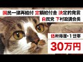 最新情報【特別定額給付金 一律給付 低所得世帯へ追加決定か】菅政権・自民党 下村政調会長「住民税非課税世帯へ給付を」VS 麻生太郎 財務省か【家計への給付金 再給付】