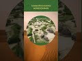 The Great Indian Desert | Explained in seconds