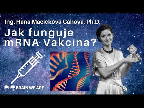 Video: CO JE A v mRNA?