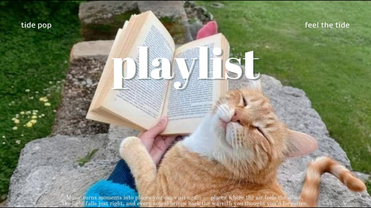 𝘱𝘭𝘢𝘺𝘭𝘪𝘴𝘵💿 В ленивый день 🐱 расслабься с jazzy piano pop | Purr-fectly relaxed melodies 🎶