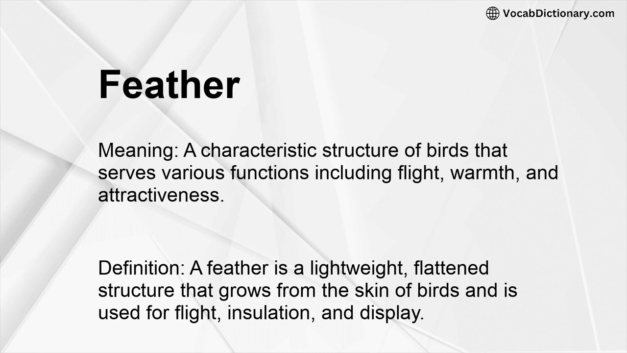Feather Meaning