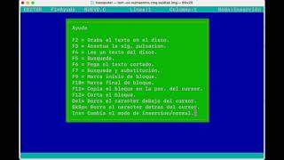 Running my operating system from 1995 in my transputer emulator