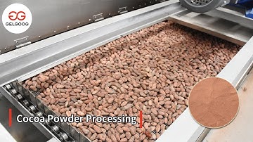 Steps Cocoa Powder Making Process in Gelgoog Factory