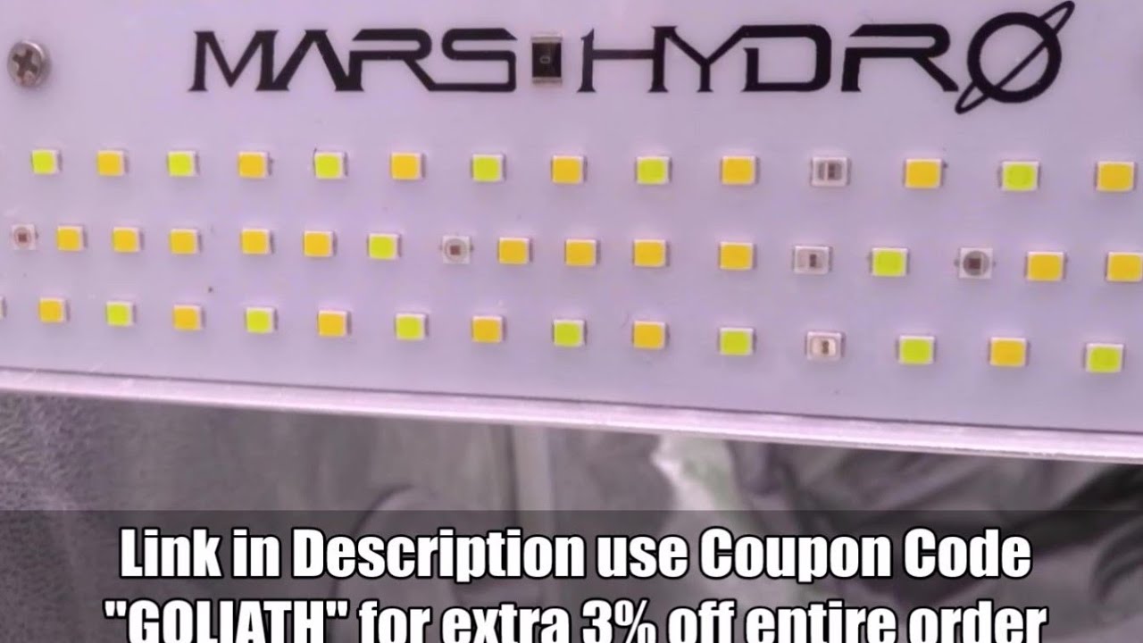 Mars Hydro SP 250 vs SP 3000 Side by Side Grow Episode : Just before Flower