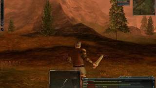 Darkfall Online | Distant Battle part 1