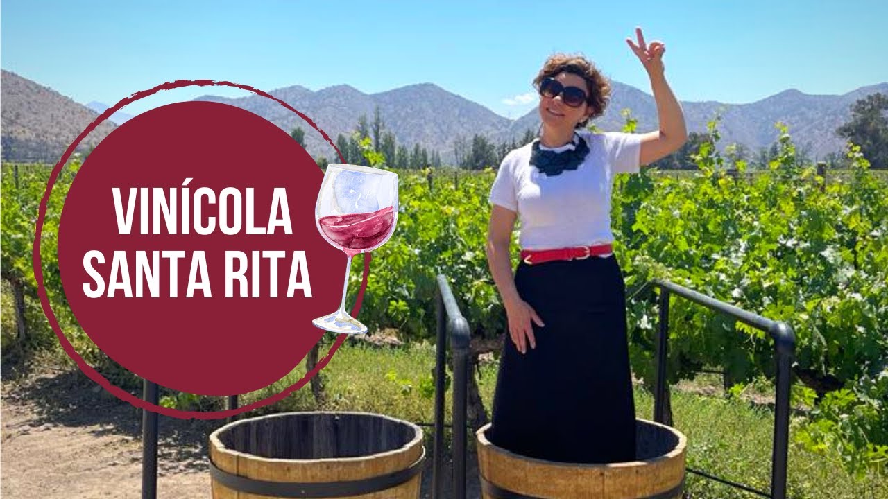 Como é o TOUR e DEGUSTAÇÃO na Vinícola SANTA RITA, em Santiago do Chile - Nós no Chile