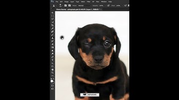 Photoshop Tutorial - Clone Source #shorts