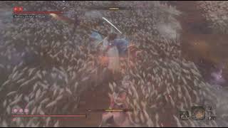 Sekiro: Isshin the Sword Saint
