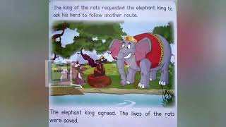 The rats and the elephants
